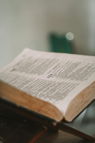 pexels-pamanjoe-29179297